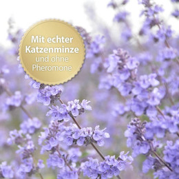 Produktbild von Felisept Home Comfort Nachfüllflakon 3 x 45 ml - 3 x 45 ml