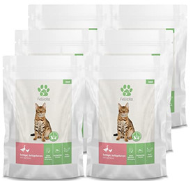 Produktbild von Fellicita Premium Nassfutter für Katzen Geflügel & Geflügelherzen mit Aprikose - 6 x 295 g