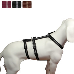 Produktbild von Feltmann Hundegeschirr NoExit® - Streifen - ausbruchsicheres Hundegeschirr