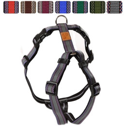 Produktbild von Feltmann Hundegeschirr Standard Muster