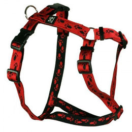 Feltmann Hundegeschirr Standard Pfötchen – Bild 1 von 3