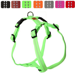 Produktbild von Feltmann Hundegeschirr Standard Super Soft