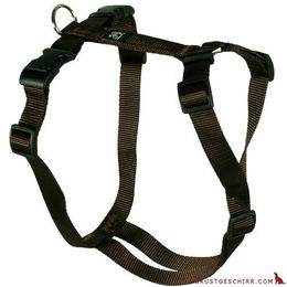 Feltmann Hundegeschirr Standard Unifarben – Bild 1 von 3