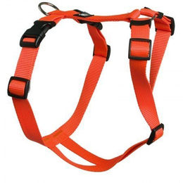 Feltmann Hundegeschirr Standard Unifarben – Bild 1 von 3