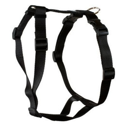 Produktbild von Feltmann Hundegeschirr Standard Unifarben