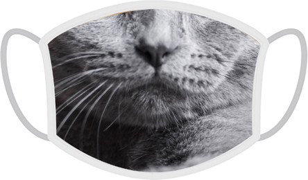 Produktbild von FERA Schutzmaske Britisch Kurzhaar Katze