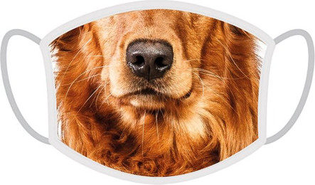 Produktbild von FERA Schutzmaske Golden Retriever