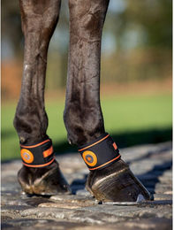 Produktbild von Fesselkopfschutz für Pferde LeMieux Magno