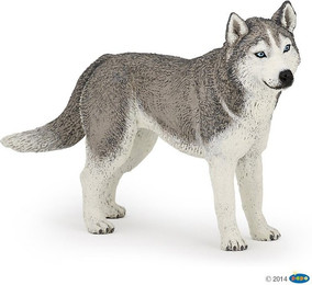Produktbild von Figurine husky de sibérie Papo