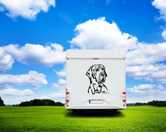 Produktbild von Fila Brasileiro Kopf Auto Wohnmobil Aufkleber