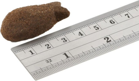 Fish4Dogs Support+ Joint Health - Lachs - 225 g – Bild 1 von 5