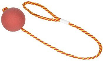 Produktbild von FIT+FUN Ball am Seil