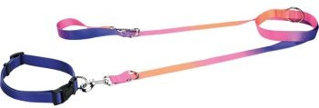 Produktbild von FIT+FUN Halsband und Leine Set bunt L