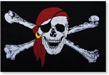 Produktbild von Flagge Icare Distribution Pirate (x6)