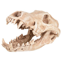 Flamingo Aquariendeko Skelo Schädel Raubtier – Bild 1 von 5