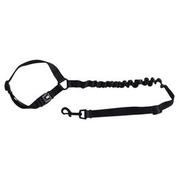 Produktbild von Flamingo Autoleine Ramone schwarz, Größe: S