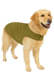 Flamingo Bonnie Hundemantel Grün - 1 Stk. – Bild 1 von 8