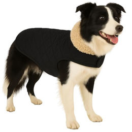 Flamingo Bonnie Hundemantel Schwarz - 1 Stk. – Bild 1 von 8