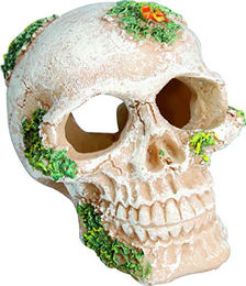 Produktbild von Flamingo Dekoration Skull