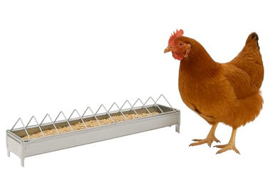 Flamingo Futtertrog Geflügel Herka rechteckig silber – Bild 1 von 4