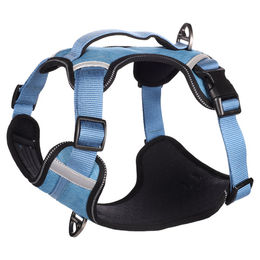 Flamingo Geschirr Heron blau XL – Bild 1 von 4