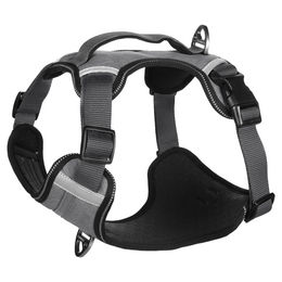 Flamingo Geschirr Heron Grau XL – Bild 1 von 2