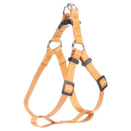 Flamingo Geschirr Noekie Gelb XS – Bild 1 von 5