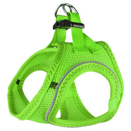 Flamingo Geschirr Step & Go Bento grün XXL – Bild 1 von 2