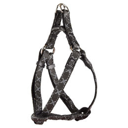 Flamingo Geschirr Step&GO Odin Schwarz XS – Bild 1 von 2