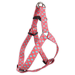 Produktbild von Flamingo Geschirr Step & Go Sue rosa/grün