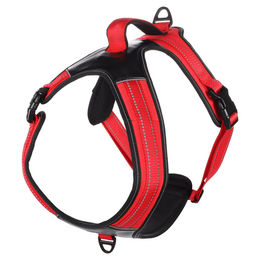 Produktbild von Flamingo Geschirr Toga rot Größe L