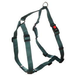 Flamingo Geschirr Ziggi dunkelgrün XL 25 mm – Bild 1 von 3