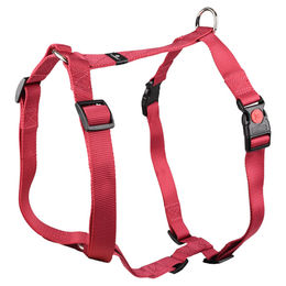 Flamingo Geschirr Ziggi kirschrot XL 25 mm – Bild 1 von 3