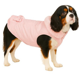 Produktbild von Flamingo Guzzi Jacke aus weichem Fleece mit Schleife, 35 cm, für kleine Hunde - 1 Stk.