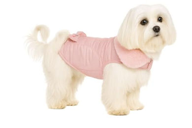 Flamingo Guzzi Jacke aus weichem Fleece mit Schleife für kleine Hunde - 1 Stk. – Bild 1 von 8