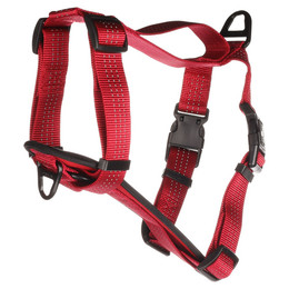 Produktbild von Flamingo H-Geschirr Zorba rot Größe M