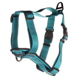 Produktbild von Flamingo H-Geschirr Zorba türkis Größe L 32 mm