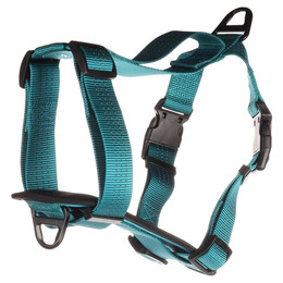 Produktbild von Flamingo H-Geschirr Zorba türkis Größe M