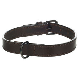 Flamingo Halsband Denver braun M-L 25 mm – Bild 1 von 3