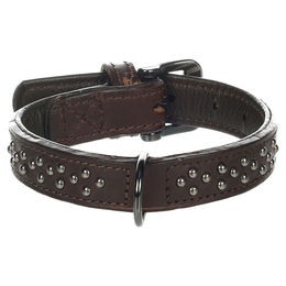Flamingo Halsband Denver mit Nieten braun Größe S – Bild 1 von 4