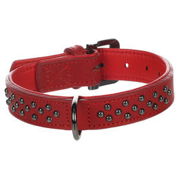 Flamingo Halsband Denver mit Nieten rot S-M – Bild 1 von 4