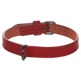 Flamingo Halsband Denver rot Größe M 20 mm – Bild 1 von 5