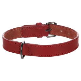 Flamingo Halsband Denver rot Größe M-L 25 mm - 25 mm – Bild 1 von 5