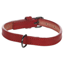 Flamingo Halsband Denver rot Größe S 15 mm – Bild 1 von 5