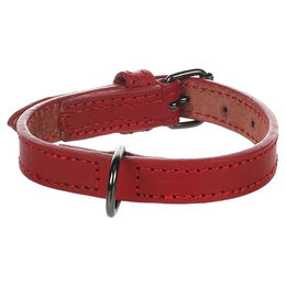 Flamingo Halsband Denver rot XS-S 15 mm – Bild 1 von 5