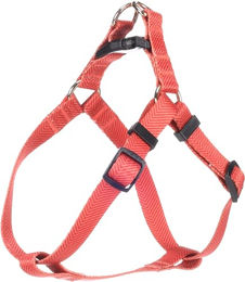 Flamingo Halsband Noekie Orange – S – Bild 1 von 4