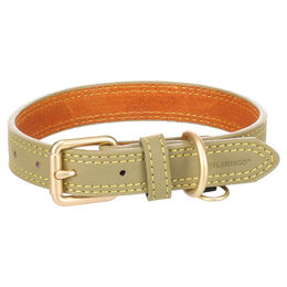 Flamingo Halsband Virginia grün – Bild 1 von 7