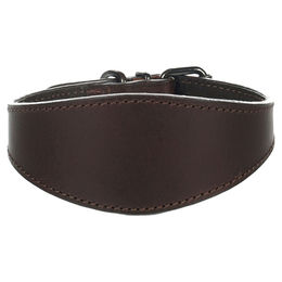 Flamingo Halsband Windhund Denver braun – Bild 1 von 2