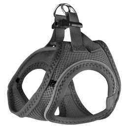 Flamingo Hunde-Geschirr Step & Go Bento grau – Bild 1 von 2