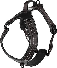 Produktbild von Flamingo Hunde-Geschirr Toga schwarz